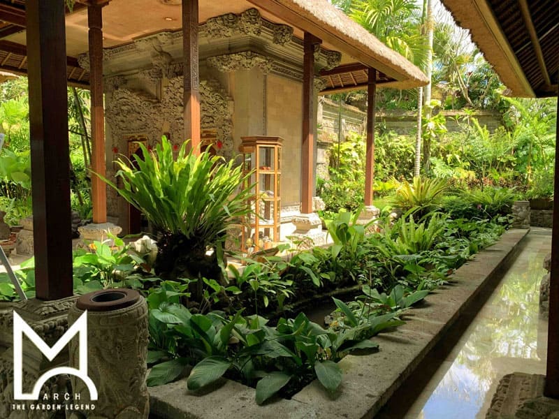 M-arch Garden